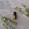 doTERRA Protium heptaphyllum Product Photo 01