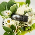doTERRA Melisa Product Pic 03