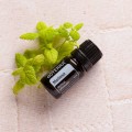 doTERRA Melisa Product Pic 04