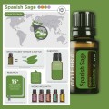 doTERRA Spanish Sage Picture 02