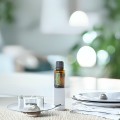 doTERRA Spanish Sage Picture 03
