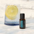 doTERRA Revitazen Olejek