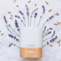 doTERRA Lumo Diffuser Product Picture 02