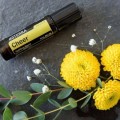 doTERRA Cheer Touch 10ml Product Picture 03