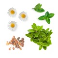 doTERRA Past Tense Relaxation Blend 10ml Product Picture 02