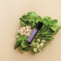 doTERRA Past Tense Relaxation Blend 10ml Product Picture 03