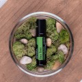 doTERRA Tea Tree Melaleuca Touch 10ml Product Picture 03