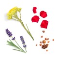 doTERRA Salubelle Roll-On 10ml Product Photo 02