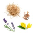 doTERRA Peace Oil Blend Product Photo 02