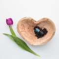 doTERRA Peace Oil Blend Product Photo 03
