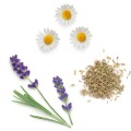 doTERRA Clary Calm 10ml Product Picture 02