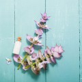 doTERRA Clary Calm 10ml Product Picture 04
