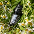 doTERRA Rumianek Rzymski Product Photo 04
